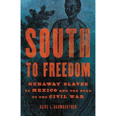 South to Freedom: Runaway Slaves to Mexico and the Road to the Civil War Baumgartner Alice L.Pevná vazba – Hledejceny.cz