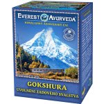 Everest Ayurveda Ajurvedský čaj GOKSHURA 100 g – Hledejceny.cz