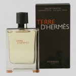 Hermès Terre D'Hermès toaletní voda pánská 100 ml – Hledejceny.cz