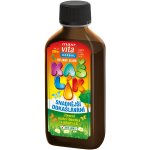 MaxiVita Herbal Bylinný sirup Kašlík 200 ml – Hledejceny.cz
