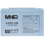 MHPower 6-EVF-100 12V/100Ah – Zboží Živě