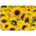 PokojovaDekorace.cz Prostírání 289 Slunečnice 43x30cm – Zboží Dáma