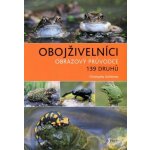 Obojživelníci - Dufresnes Christophe – Hledejceny.cz