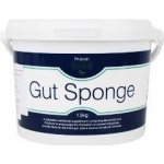 Protexin Gut Sponge pro koně 1,5 kg – Zboží Mobilmania