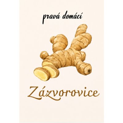 Etiketa samolepící Zázvorovice – Hledejceny.cz