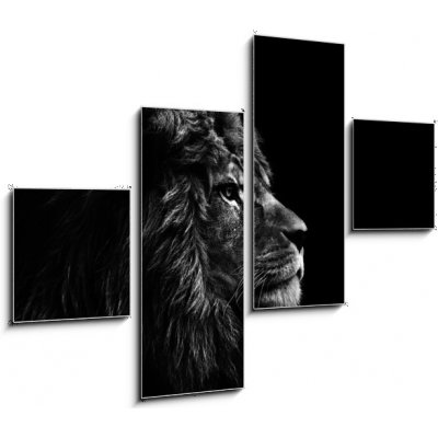 Obraz 4D čtyřdílný - 120 x 90 cm - Stunning facial portrait of male lion on black background in bla Ohromující obličej portrét lva na černém pozadí v bla – Zboží Mobilmania