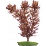 Hagen rostlina Foxtail 20 cm – Hledejceny.cz