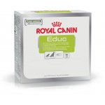 Royal Canin Educ 50 g – Hledejceny.cz