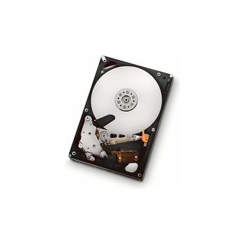 WD DC HC310 6TB, HUS726T6TAL5204 (0B36047)