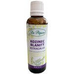 Dr. Popov Kozinec blanitý originální bylinné kapky 50 ml – Hledejceny.cz