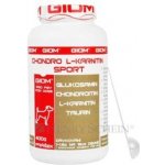 GIOM ERA Chondro L-karnitin 400 g – Hledejceny.cz