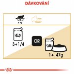 Royal Canin Mainecoon 12 x 85 g – Sleviste.cz