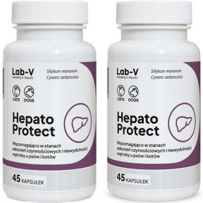 LAB-V Hepato Protect Podpora funkce jater pro psy a kočky 2 x 45 kapslí – Hledejceny.cz