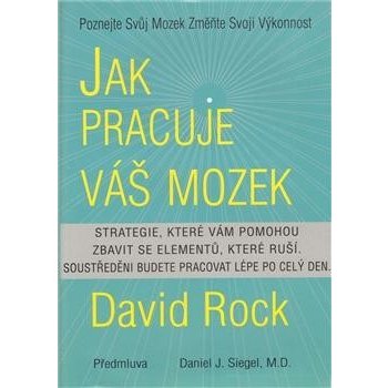 Jak pracuje váš mozek - David Rock