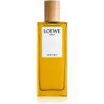 Loewe Solo Mercurio parfémovaná voda pánská 50 ml – Hledejceny.cz