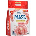 Applied Nutrition Critical Mass Gainer 6000 g – Zbozi.Blesk.cz