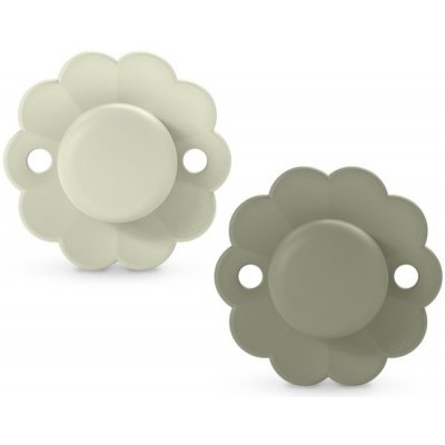 Suavinex dudlík SX Pro fyziologický 2ks wonder Almost Aqua + Hedge Green – Sleviste.cz