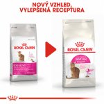 Royal Canin Exigent savour kuřecí 400 g – Zboží Mobilmania