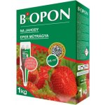 Bopon jahody a lesní jahody 1 kg – Zbozi.Blesk.cz