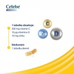 Cetebe Immunity Forte 60 kapslí – Hledejceny.cz