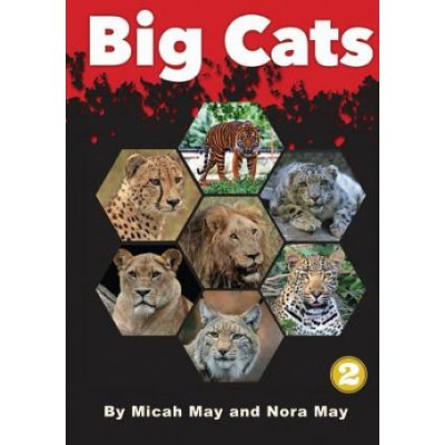 Big Cats