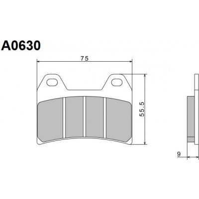Brzdové destičky NISSIN přední BMW F 800 R rok 09-14 | Zboží Auto
