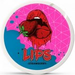 LIPS Nikotinové sáčky Strawberry 16 mg/g 20 sáčků – Hledejceny.cz