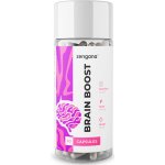 Zengana Brain Boost 60 kapslí – Hledejceny.cz