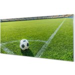 Obraz na skle Fotbalový stadion trávy 100x50 cm