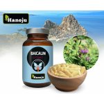Hanoju Šišák bajkalský extrakt 88% baicalin 90 kapslí 300 mg – Hledejceny.cz