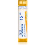 THUYA OCCIDENTALIS POR 15CH GRA 4G – Hledejceny.cz