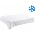 Brotex přikrývka Thermo zimní 2400g 600g/m2 200x200 – Sleviste.cz