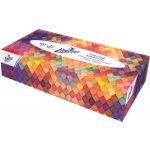 Linteo EKO papírové kapesníky krabička 2-vrstvé 100 ks – Sleviste.cz