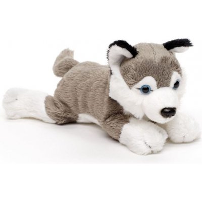 pes HUSKY štěně 19 cm – Zbozi.Blesk.cz