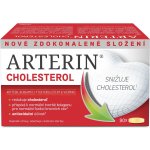 Arterin Cholesterol 90 tablet – Hledejceny.cz