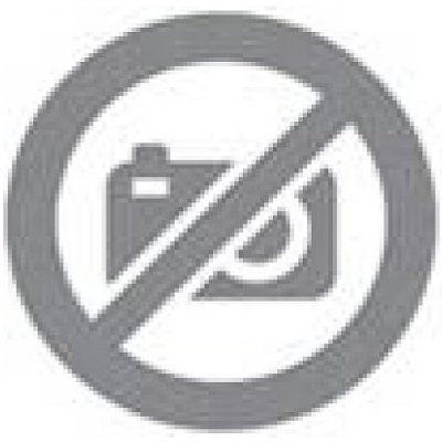 Banquet METALLIC PLATINUM 11 ks – Zboží Dáma