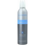 Black Allwaves Hair Mousse Spray Strong tužidlo silné 400 ml – Hledejceny.cz