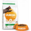 Granule pro kočky Iams Adult Cat Lamb 20 kg