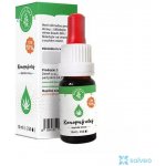Zelená Země CBD konopný olej 10% 10 ml – Zbozi.Blesk.cz