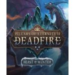 Pillars of Eternity 2: Deadfire - Beast of Winter – Hledejceny.cz