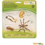 Safari Ltd. SFS662616 Životní cyklus Komár – Sleviste.cz