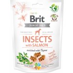 Brit Care Dog Crunchy Cracker Insects with Salmon enriched with Thyme 200 g – Zboží Dáma