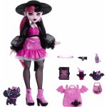 Mattel Monster High Fashion Doll Draculaura & Pet Count HRP64 – Zbozi.Blesk.cz