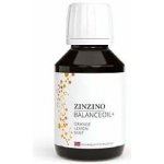 Zinzino BalanceOil 100 ml Pomeranč Rybí tuk – Zbozi.Blesk.cz