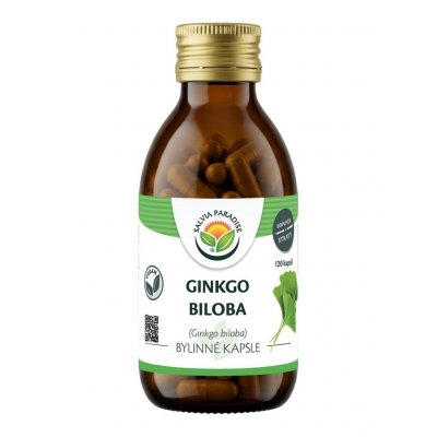 Salvia Paradise Ginkgo biloba Jinan 120 kapslí – Hledejceny.cz