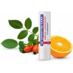 REGINA Jelení lůj Care šípkový s pomerančem vitamínový 4,5 g – Zboží Mobilmania