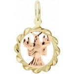 Luxur Přívěsek znamení Vodnář kytička ze žlutého zlata Symbol Ryby 585 32 2 0062.5ZC0.0.00.000.21.RYB – Zboží Dáma