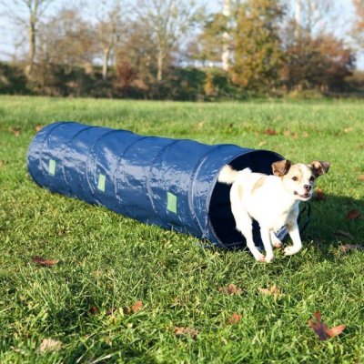 Trixie Agility Tunel na plazení se 40 cm x 2 m – Zboží Mobilmania