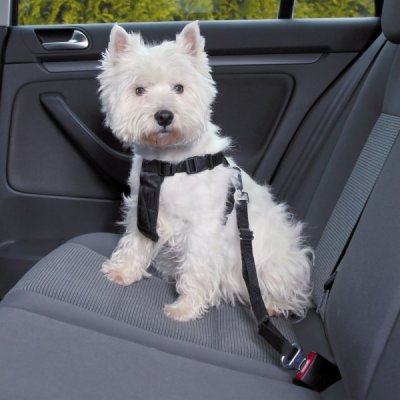Trixie Postroj do auta pro psa 20 - 50 cm – Zboží Mobilmania