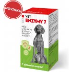 Pet health care VET ENZYMY 7 Péče o vitalitu a imunitu 100 tablet – Hledejceny.cz